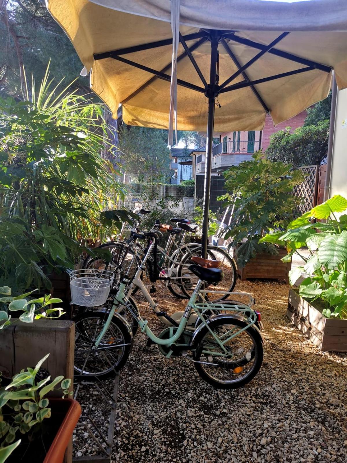 ホテル Casa Dorita - Free Breakfast Corner 8-12 チェルヴィア エクステリア 写真